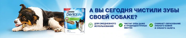 Корма для собак | Purina
